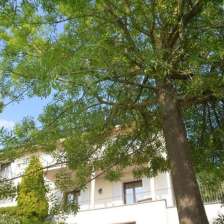Villa Patrizia Moncalvo Exteriör bild