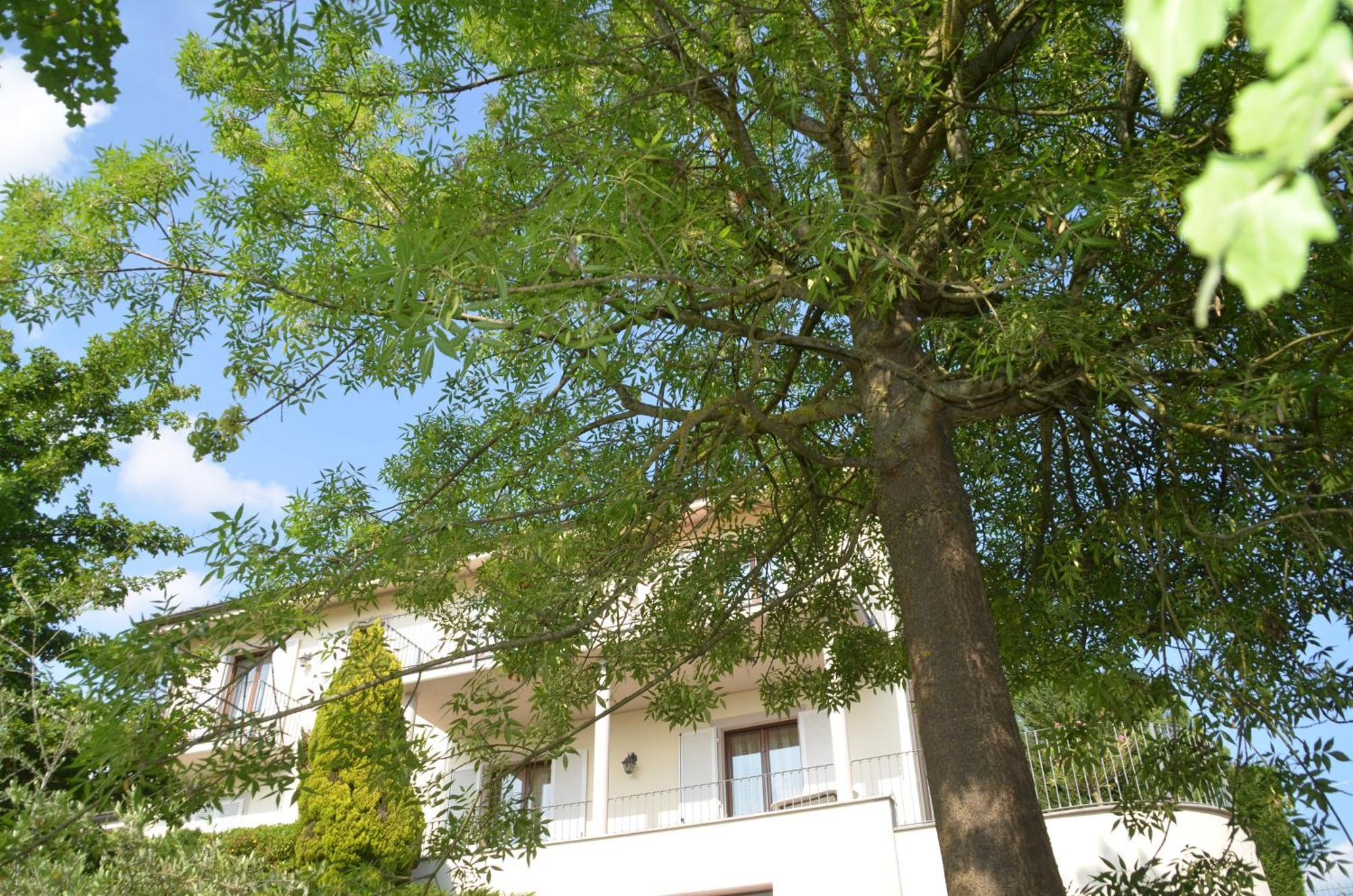 Villa Patrizia Moncalvo Exteriör bild